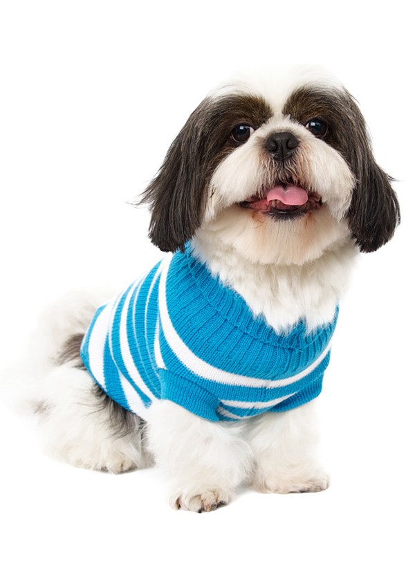 Blue & White Candy Stripe Sweater